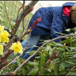 Apprenez votre jardin grâce à Laurence